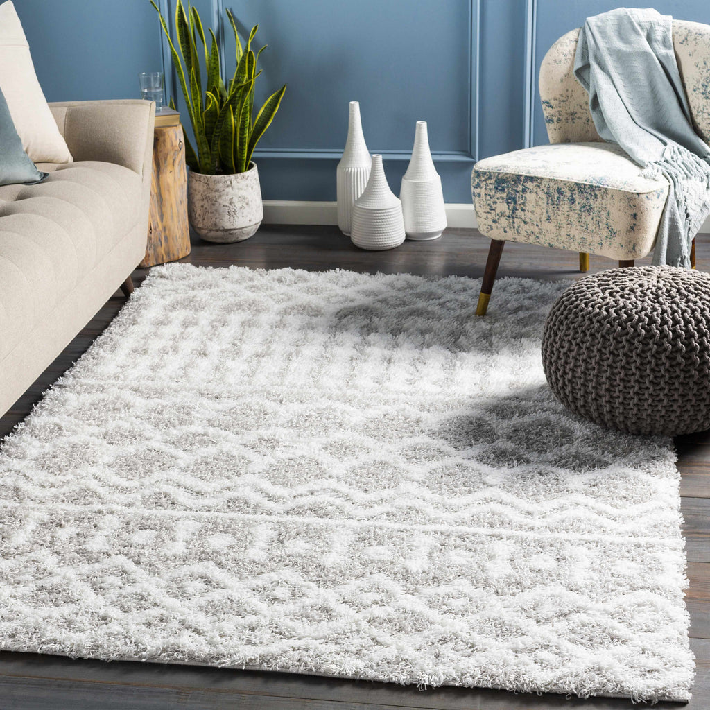 Hauteloom Vernonburg VRNNB White Machine Made Polypropylene Rug