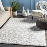 Hauteloom Vernonburg VRNNB White Machine Made Polypropylene Rug