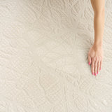 nourison desire dsr09 beige rug