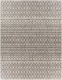 Hauteloom Wallkill WALLK Black Machine Made Polypropylene Rug