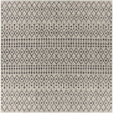 Hauteloom Wallkill WALLK Black Machine Made Polypropylene Rug