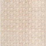 surya weiss wes 4100 taupe rug