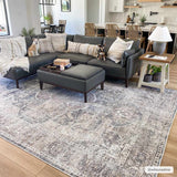 Hauteloom Mignon MIG Charcoal Machine Made Chenille-Polyester Rug