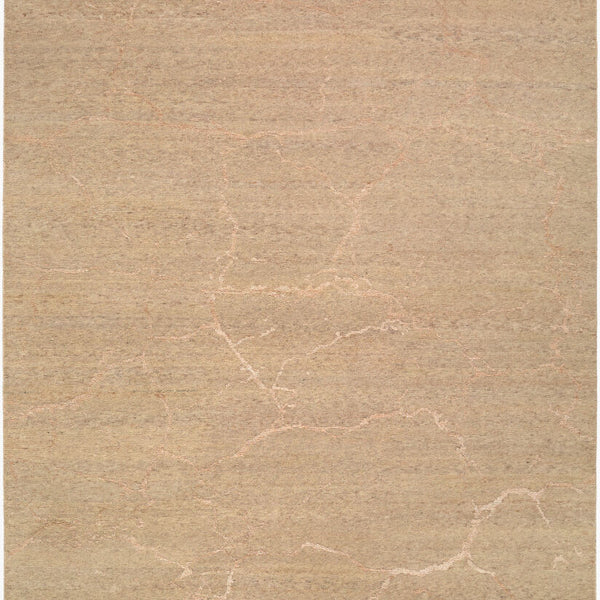 surya washington wsg 2301 sandstone rug