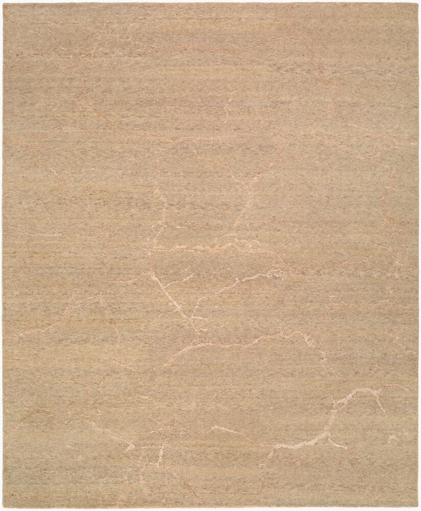 surya washington wsg 2301 sandstone rug