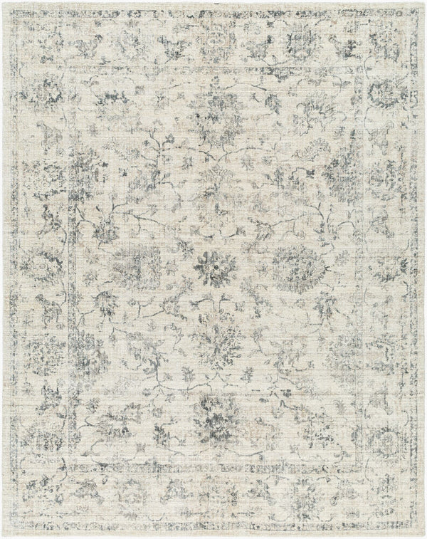 surya wilson wsn 2312 beige rug