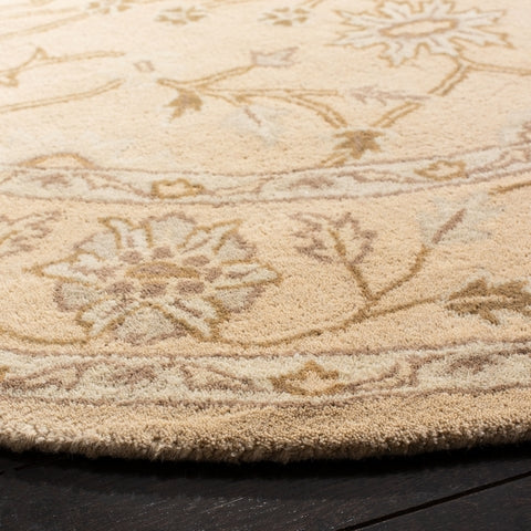safavieh clearance wyndham wyd205a light gold rug