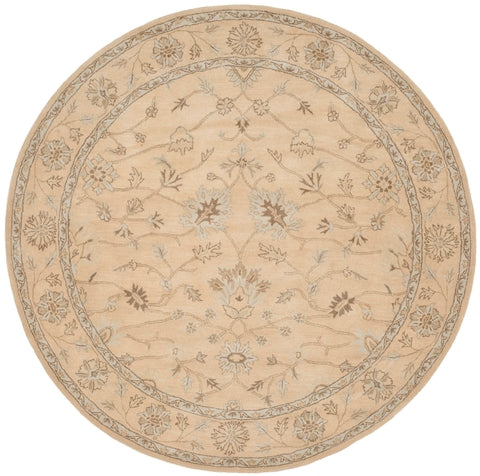 safavieh clearance wyndham wyd205a light gold rug