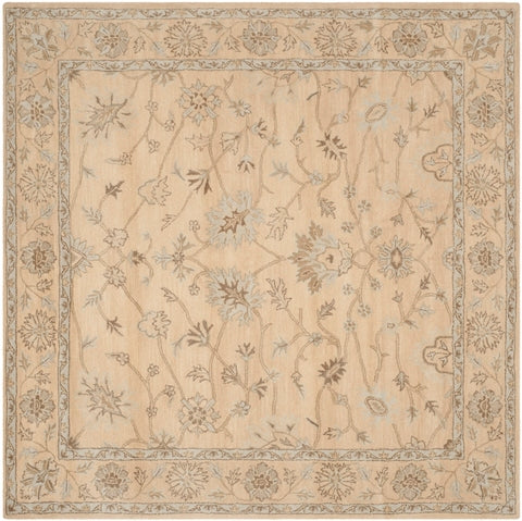 safavieh clearance wyndham wyd205a light gold rug