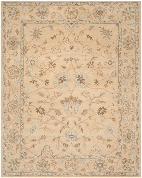 safavieh clearance wyndham wyd205a light gold rug