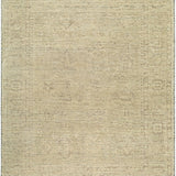 surya wyoming wyg 2301 sandstone rug