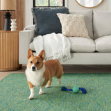 nourison washable solutions wsl01 blue green rug