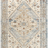 nourison pardis prd02 blue taupe rug