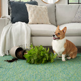 nourison washable solutions wsl01 blue green rug