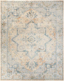 nourison astra machine washable asw12 beige blue rug
