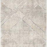 nourison iliana ili03 grey rug