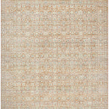 surya zeenat znt 2302 burnt sienna rug
