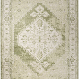 nourison astra machine washable asw11 ivory green rug