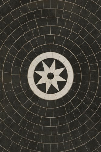 spicher and company classic vinyl pattern 58 regnant rug