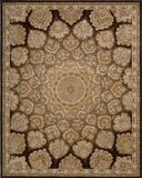 Nourison Nourison 2000 2318 Brown Rug