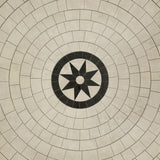 spicher and company classic vinyl pattern 58 leonine rug