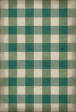 spicher and company williamsburg gingham canvas green rug