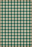 spicher and company williamsburg gingham canvas green rug