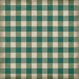 spicher and company williamsburg gingham canvas green rug