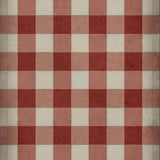 spicher and company williamsburg gingham canvas red rug