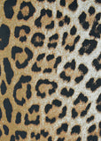 couristan dolce 5750 0003 new gold rug