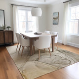 addison chantille acn502 beige rug