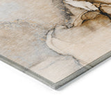 addison chantille acn506 beige rug