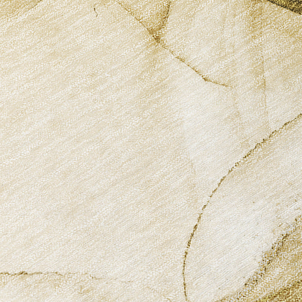 addison chantille acn507 beige rug