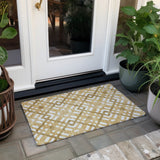 Addison Chantille ACN616 Gold Rug