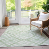 Addison Chantille ACN616 Mint Rug