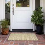 Addison Chantille ACN621 Gold Rug
