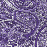 addison chantille acn623 purple rug