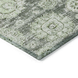 addison chantille acn634 aloe rug