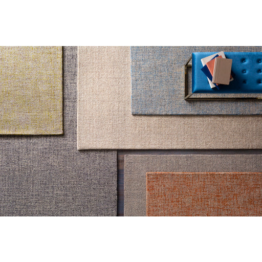 Surya Rug Co. Aiden AEN-1002 Grey Rug