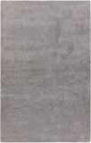 chandra alcon alc 35501 silver rug
