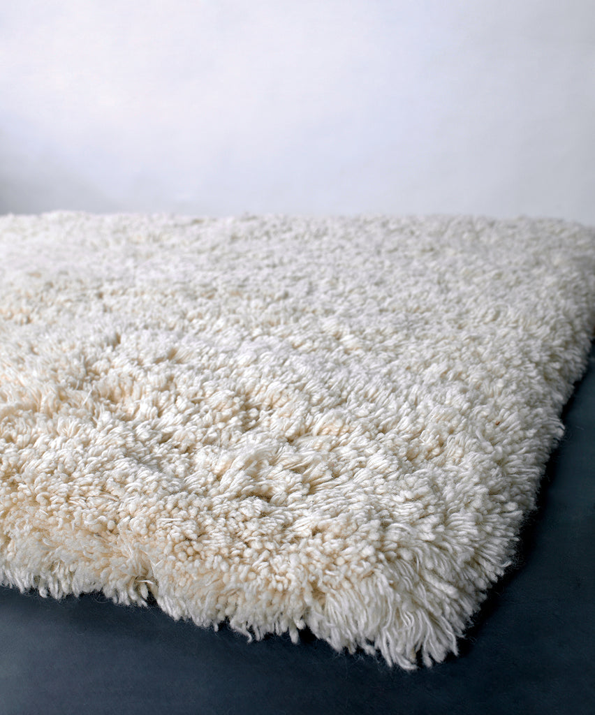 chandra ambiance amb 4200 ivory rug