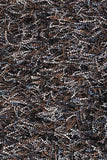 chandra astrid ast 14303 brown rug