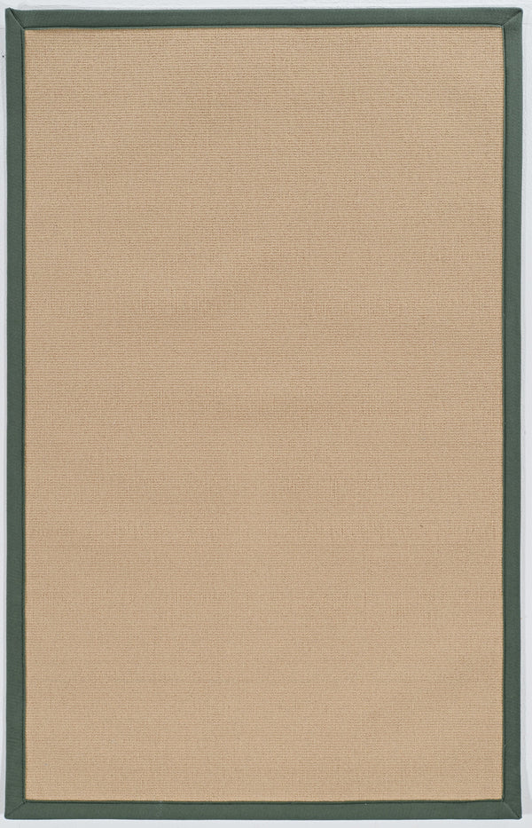 linon home decor athena at0205 sisal green rug