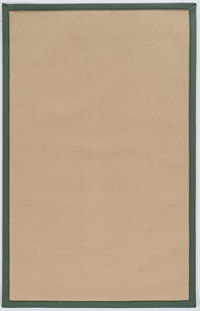 linon home decor athena at0205 sisal green rug
