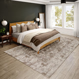dalyn antalya ay2 taupe rug