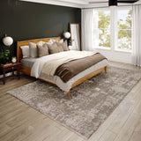 dalyn antalya ay3 silver rug