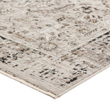 dalyn antalya ay4 silver rug
