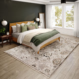 dalyn antalya ay5 silver rug