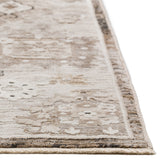 dalyn antalya ay5 silver rug