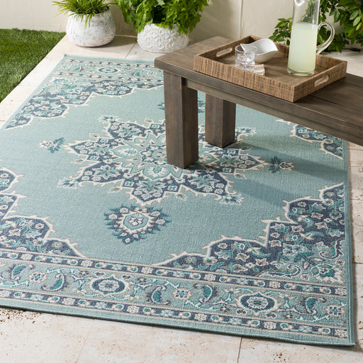 Surya Rug Co. Alfresco Teal Rug | Outdoor Rugs | Rugs Done Right 